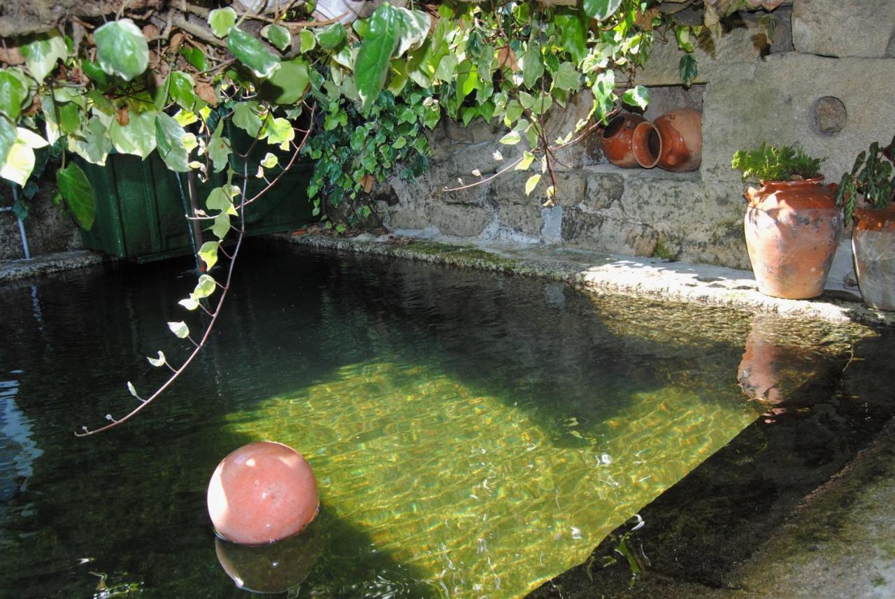 Casa De Cerqueda Διαμέρισμα Celorico De Basto Εξωτερικό φωτογραφία