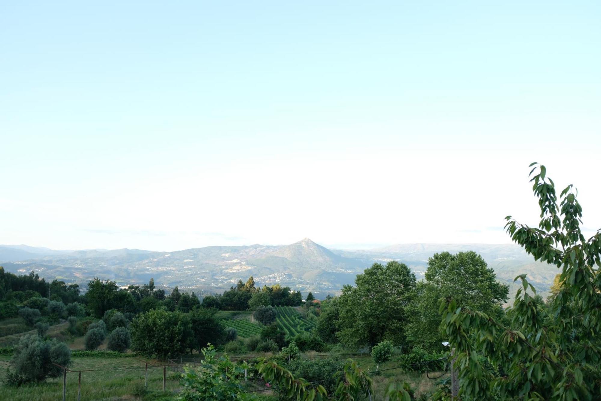 Casa De Cerqueda Διαμέρισμα Celorico De Basto Εξωτερικό φωτογραφία