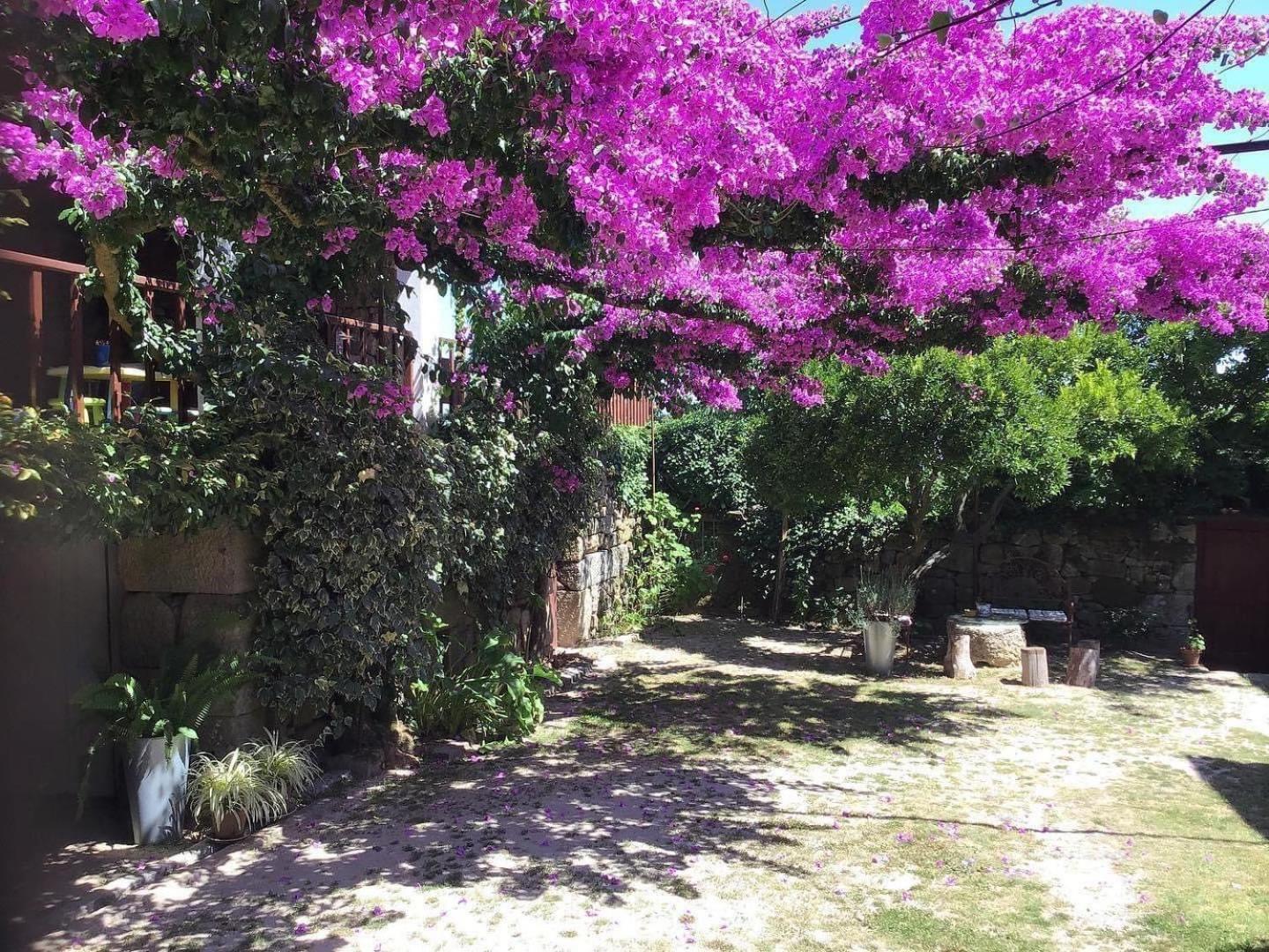 Casa De Cerqueda Διαμέρισμα Celorico De Basto Εξωτερικό φωτογραφία