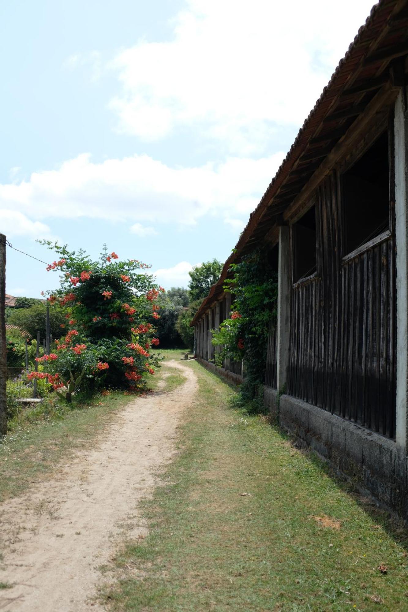 Casa De Cerqueda Διαμέρισμα Celorico De Basto Εξωτερικό φωτογραφία