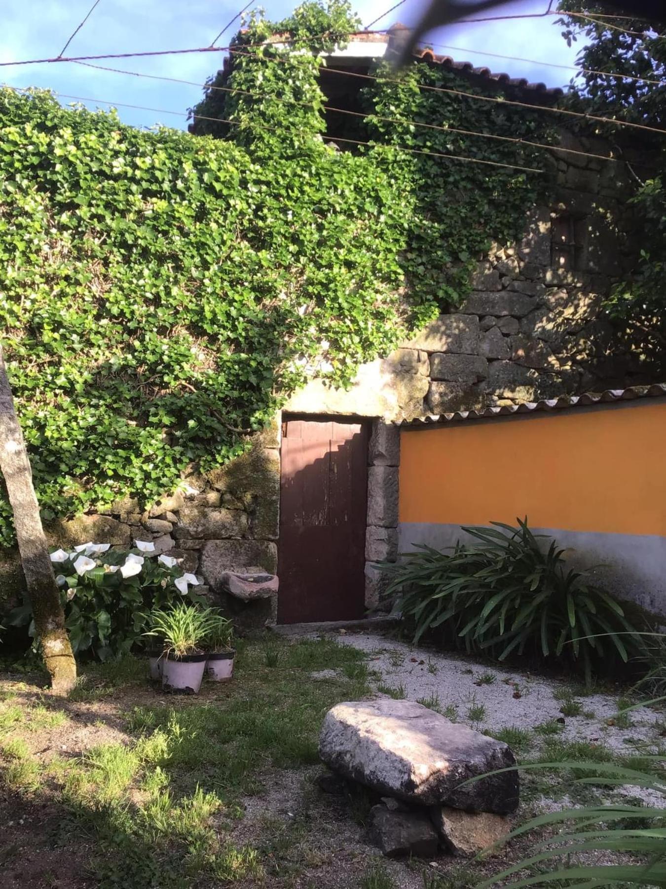 Casa De Cerqueda Διαμέρισμα Celorico De Basto Εξωτερικό φωτογραφία