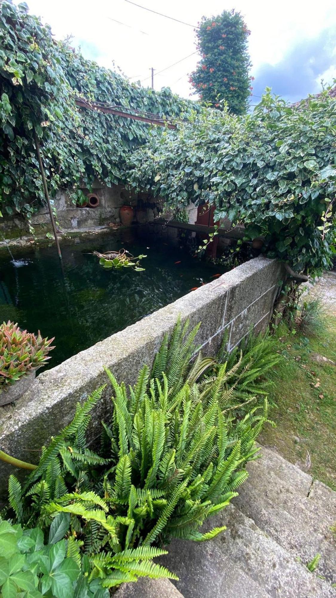 Casa De Cerqueda Διαμέρισμα Celorico De Basto Εξωτερικό φωτογραφία
